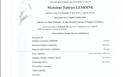 Mr Fabrice LEMOINE