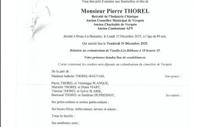Mr Pierre THOREL
