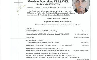 Mr Dominique VERSAVEL