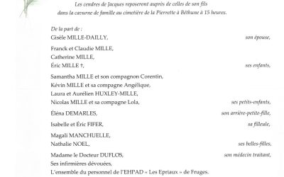 Mr Jacques MILLE